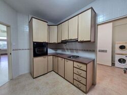 Clementi Park (D21), Condominium #482321381